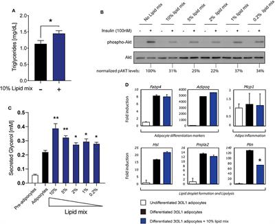 Cytokine Output of Adipocyte-iNKT Cell Interplay Is Skewed by a Lipid-Rich Microenvironment